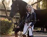 norbert-444-friesian-horse