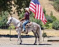 kid-safe-quarter-horse