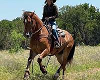 ranch-work-draft-horse