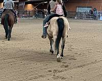 barrel-racing-quarter-horse