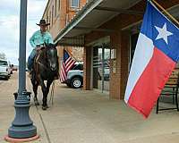 ranch-work-quarter-horse