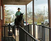 ridden-western-quarter-horse