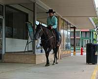 roping-quarter-horse