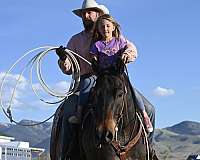 finished-quarter-horse