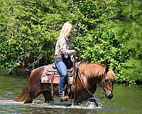 bombproof-quarter-horse