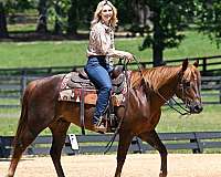 flashy-quarter-horse