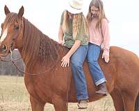 husband-safe-horse-quarter