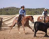 cutting-quarter-horse