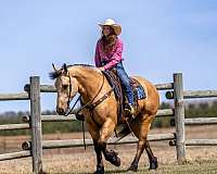 flashy-draft-horse