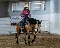 ranch-draft-horse