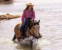 ranch-work-draft-horse