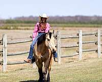 ridden-english-draft-horse