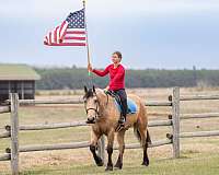 show-draft-horse