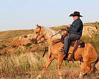 ranch-versatility-quarter-horse