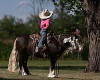 athletic-gypsy-vanner-pony