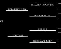 athletic-quarter-horse