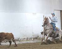 trail-riding-quarter-horse