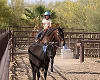 cross-quarter-horse