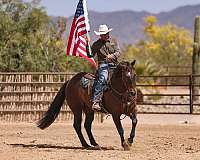 roping-quarter-horse