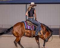 calf-roping-quarter-pony