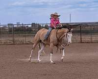 ranch-versatility-quarter-horse