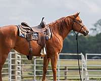 obstacle-events-mare