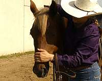 sorrel-flaxen-mane-horse