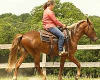 sorrel-gaited-horse