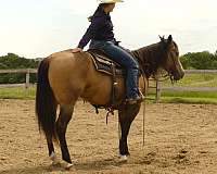 ranch-versatility-quarter-horse