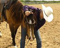 ranch-work-quarter-horse