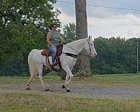husband-safe-horse-walkaloosa