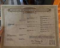 quarter-horse-for-sale