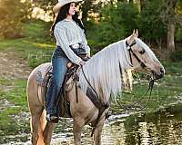 dunalino-pack-horse