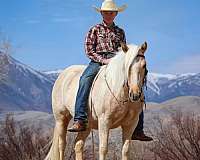 ranch-quarter-pony