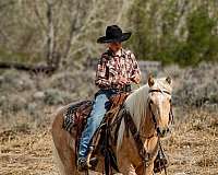 roping-quarter-pony