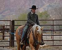 ranch-work-quarter-horse