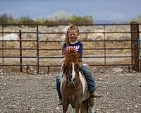 flashy-pony