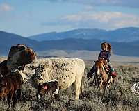 ranch-work-pony