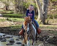 youth-pony