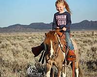 dun-pony-mare