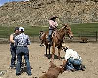 kid-safe-mule