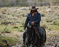husband-safe-quarter-horse