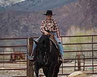 kid-safe-quarter-horse