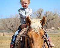 kid-safe-quarter-horse