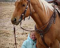 ranch-quarter-horse