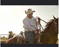 ranch-quarter-horse