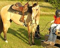 cowboy-mounted-shooting-quarter-horse