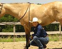 reined-cow-quarter-horse