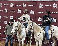 perlino-r-horse