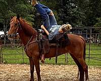 kids-paso-fino-horse